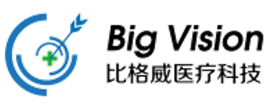 Logo BigVision